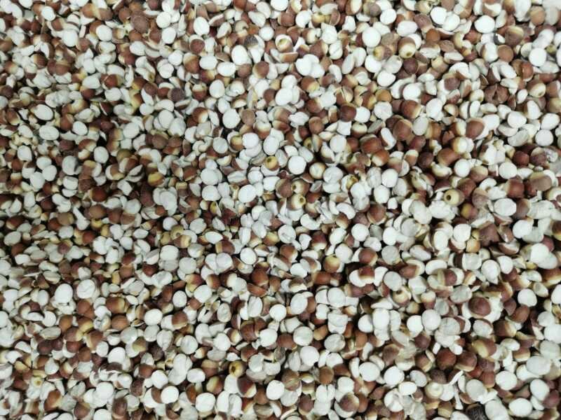 批发【芡实广货】工厂一手货源直批发规格齐全