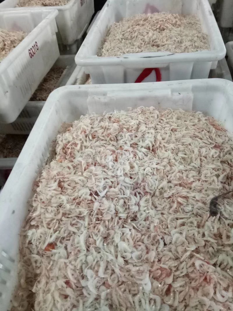 山东虾皮，产地直发支持视频看货欢迎前来采购。