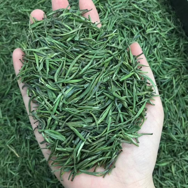 2021君山银针新茶500g包邮