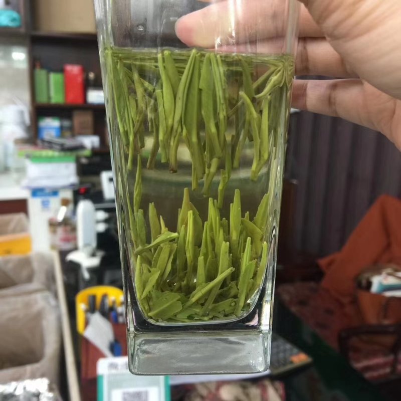 2021君山银针新茶500g包邮