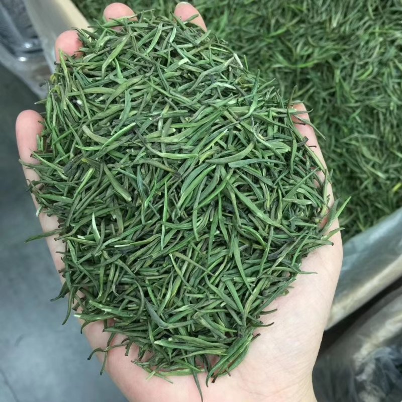 2021君山银针新茶500g包邮