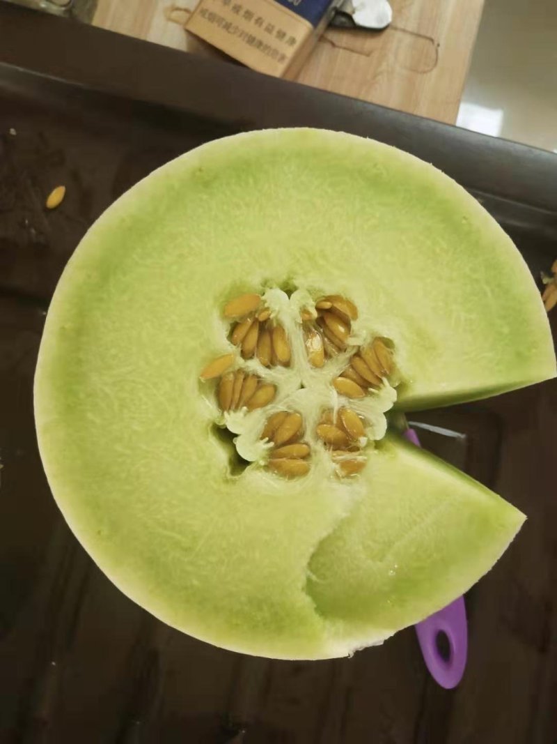 精品玉菇甜瓜冰清玉菇甜瓜河南甜瓜，二斤半起步