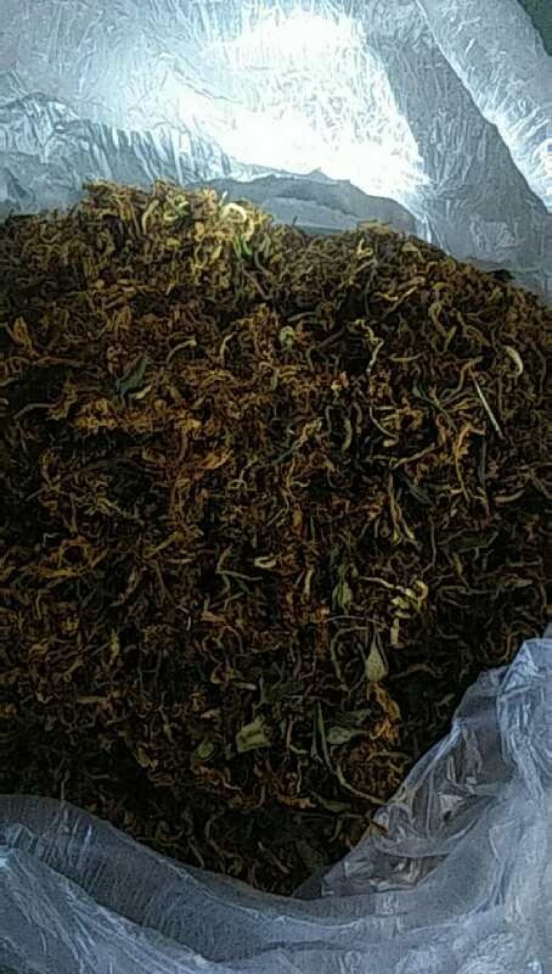 金银花