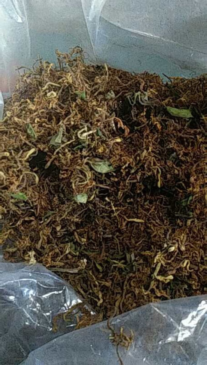 金银花