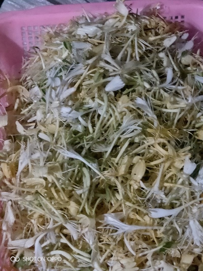 金银花