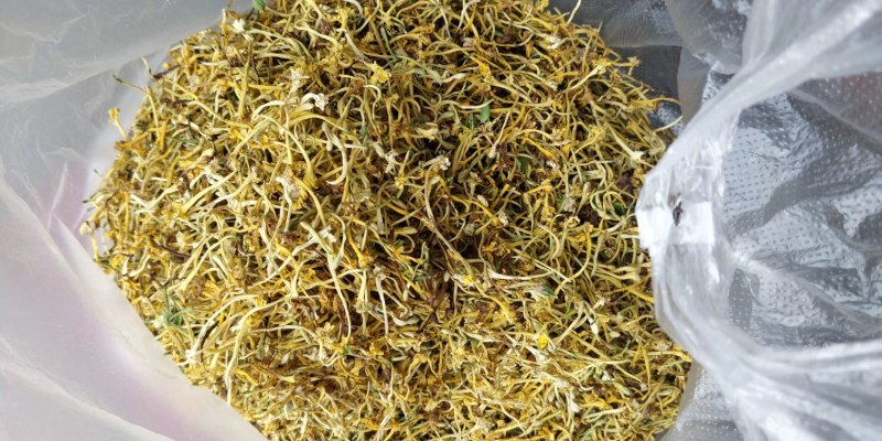 金银花