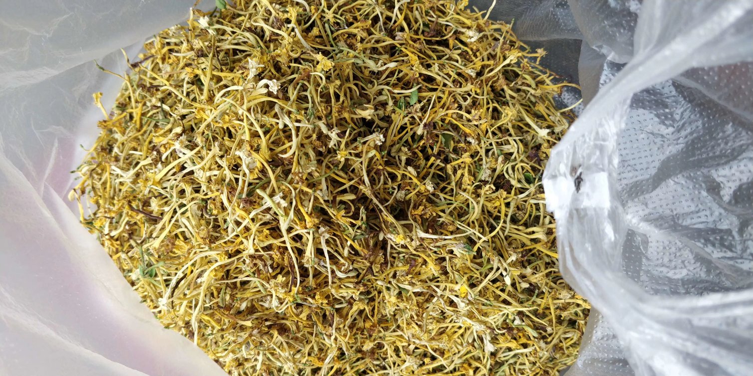 干花胶经过48小时冷水泡发后变得柔软透明,体积膨胀约3倍,表面光滑无杂质,内部已无硬芯 花胶泡发前后对比图