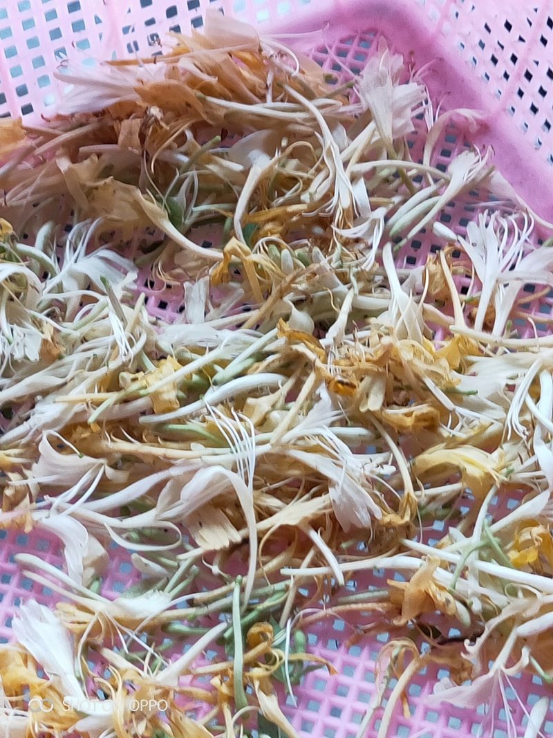 金银花