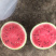 8424西瓜，9成熟