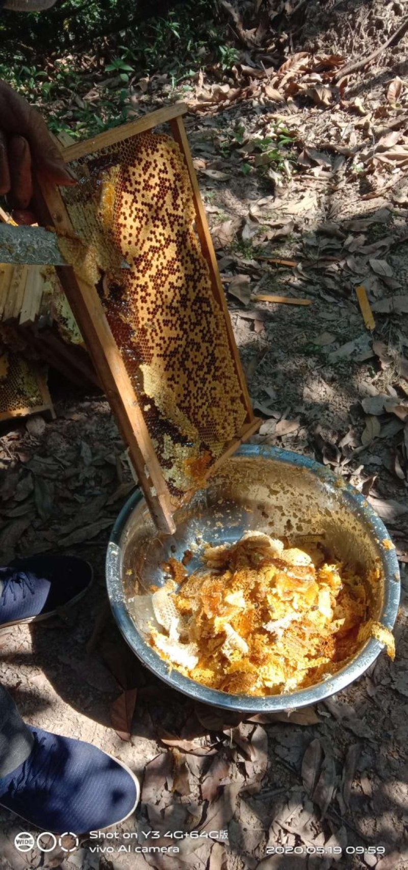 高山蜂蜜正宗中蜂糖热卖中，货真价实，假一赔十，量大优惠哟