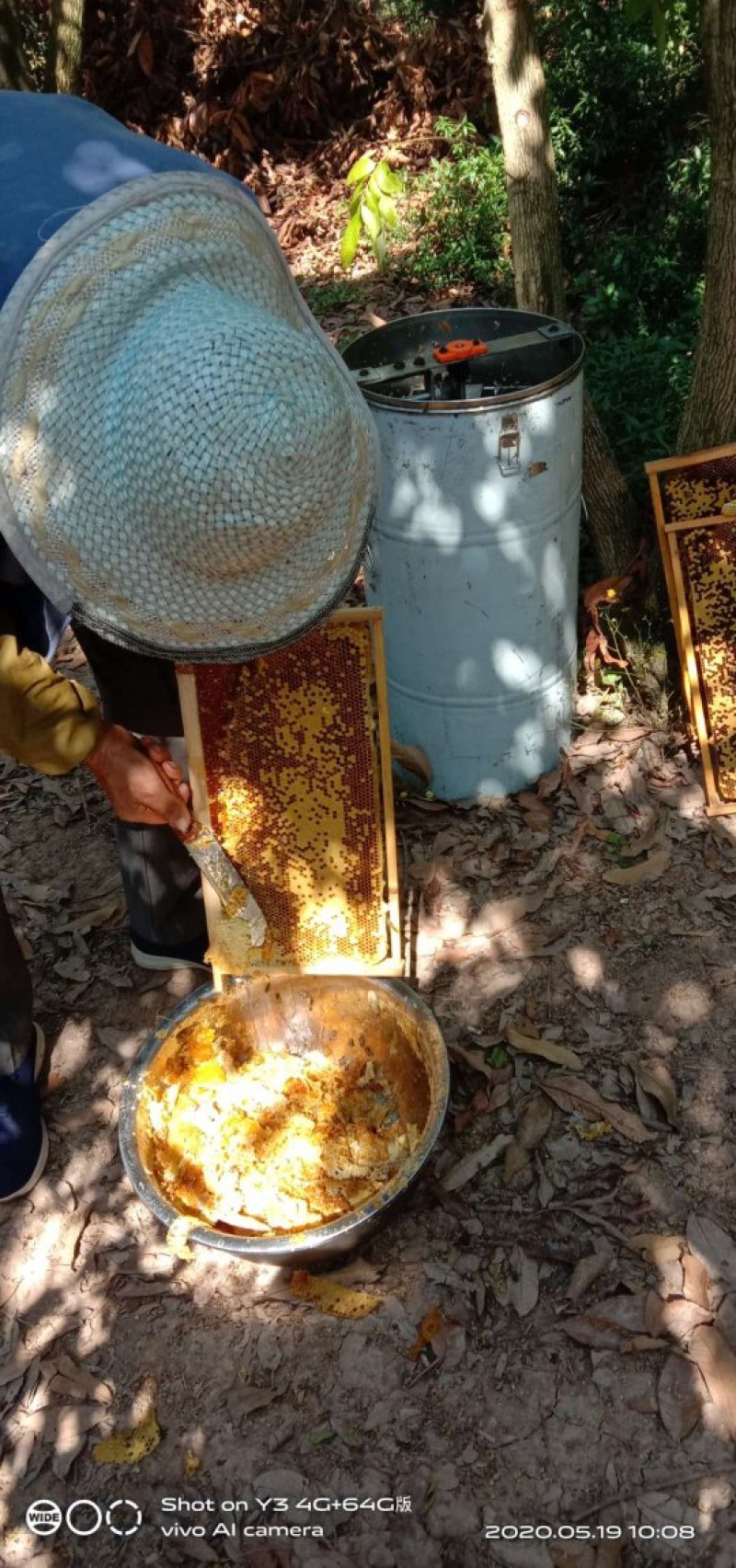 高山蜂蜜正宗中蜂糖热卖中，货真价实，假一赔十，量大优惠哟