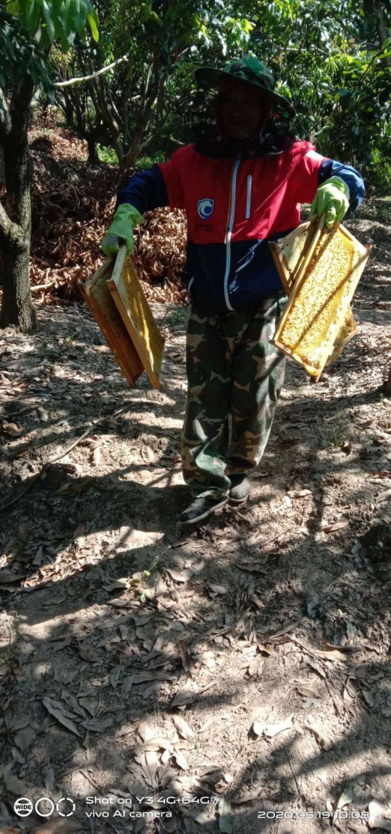 高山蜂蜜正宗中蜂糖热卖中，货真价实，假一赔十，量大优惠哟