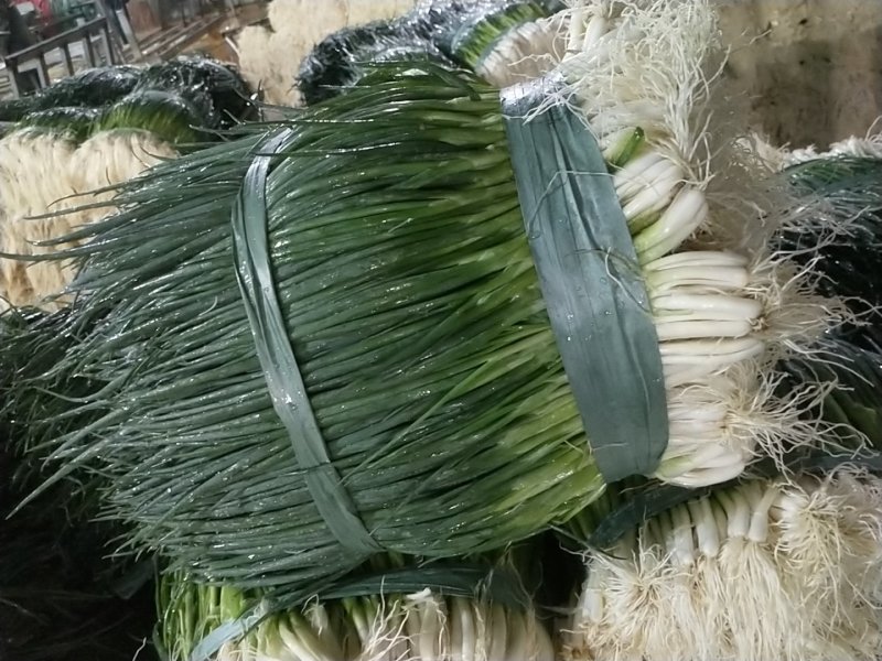 小葱产地直供精品小葱常年有货实力代收，期待长期合作