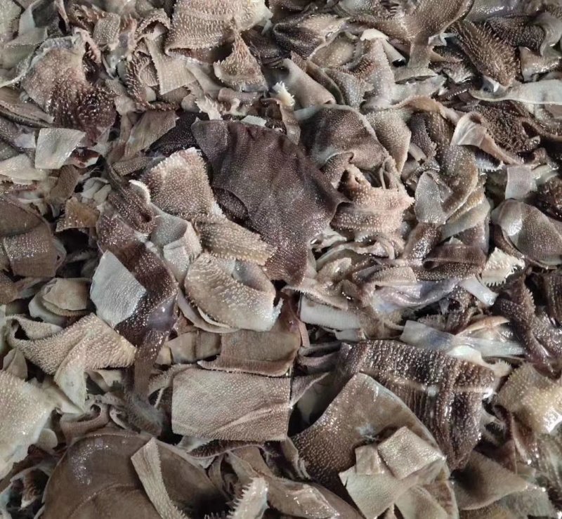 毛肚叶片品质口感好（长期供应）毛肚叶片品质口感好（长期供