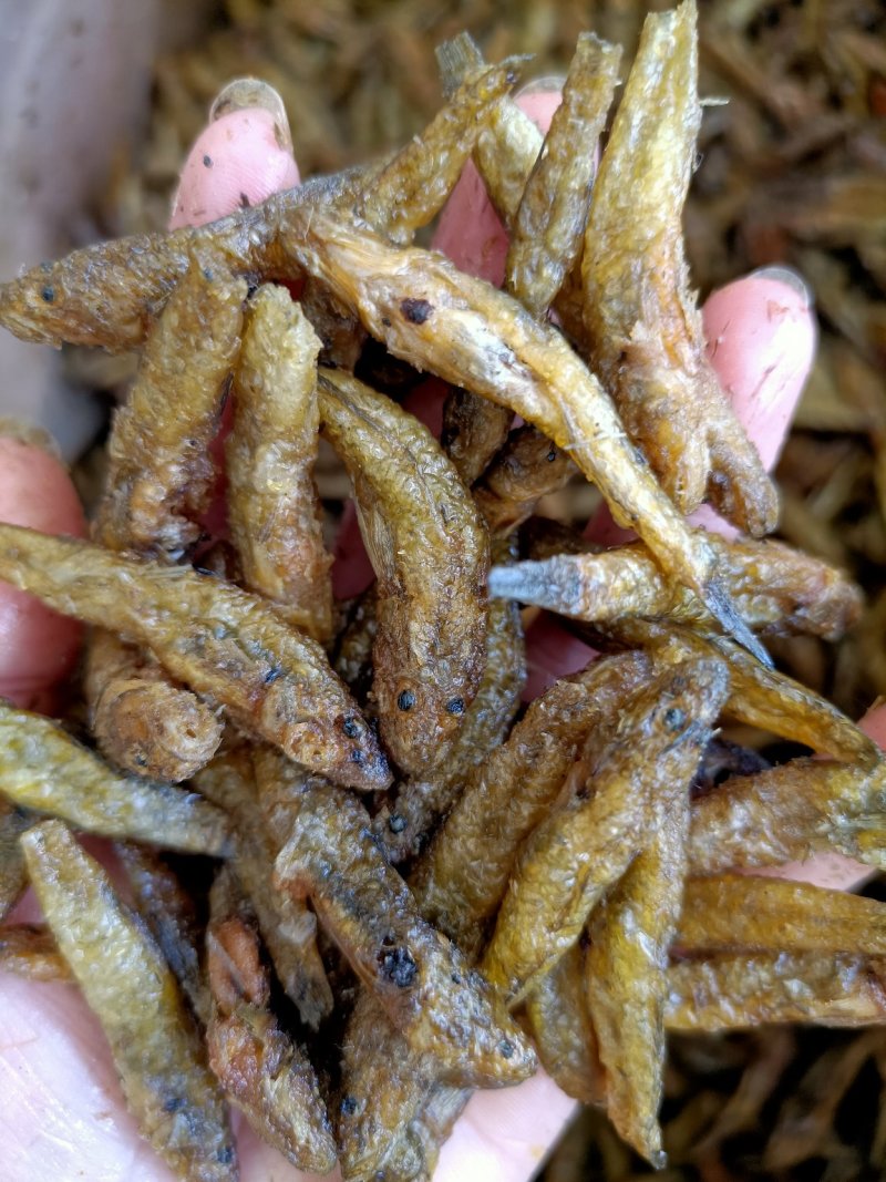 油炸小黄鱼小河鱼淡水无盐
