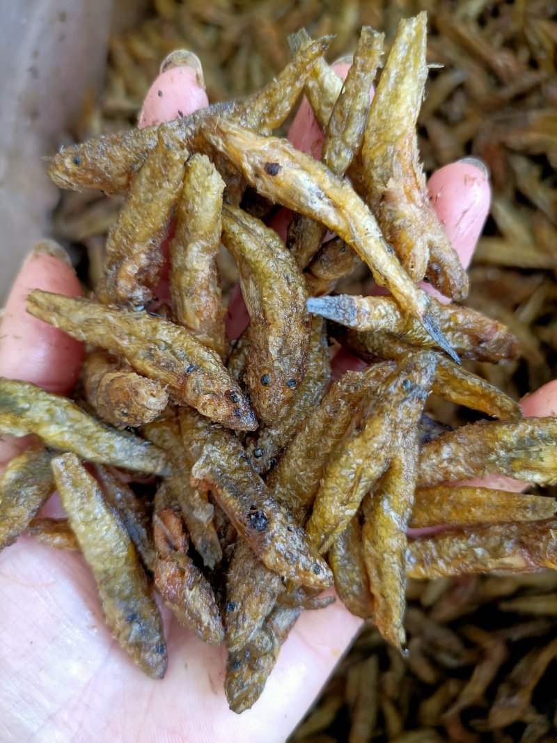 油炸小黄鱼小河鱼淡水无盐