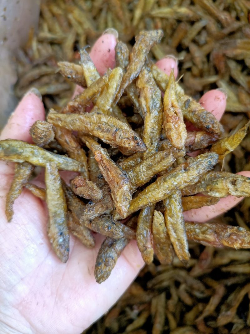 油炸小黄鱼小河鱼淡水无盐