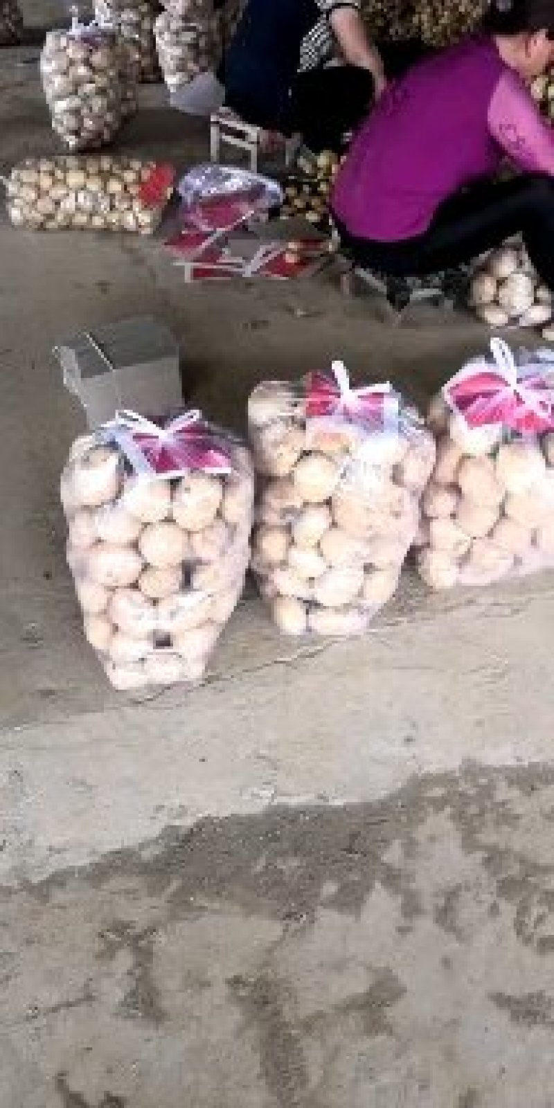 土豆量大，产地直发，希森，中薯，沃土，专业代办代发马铃薯