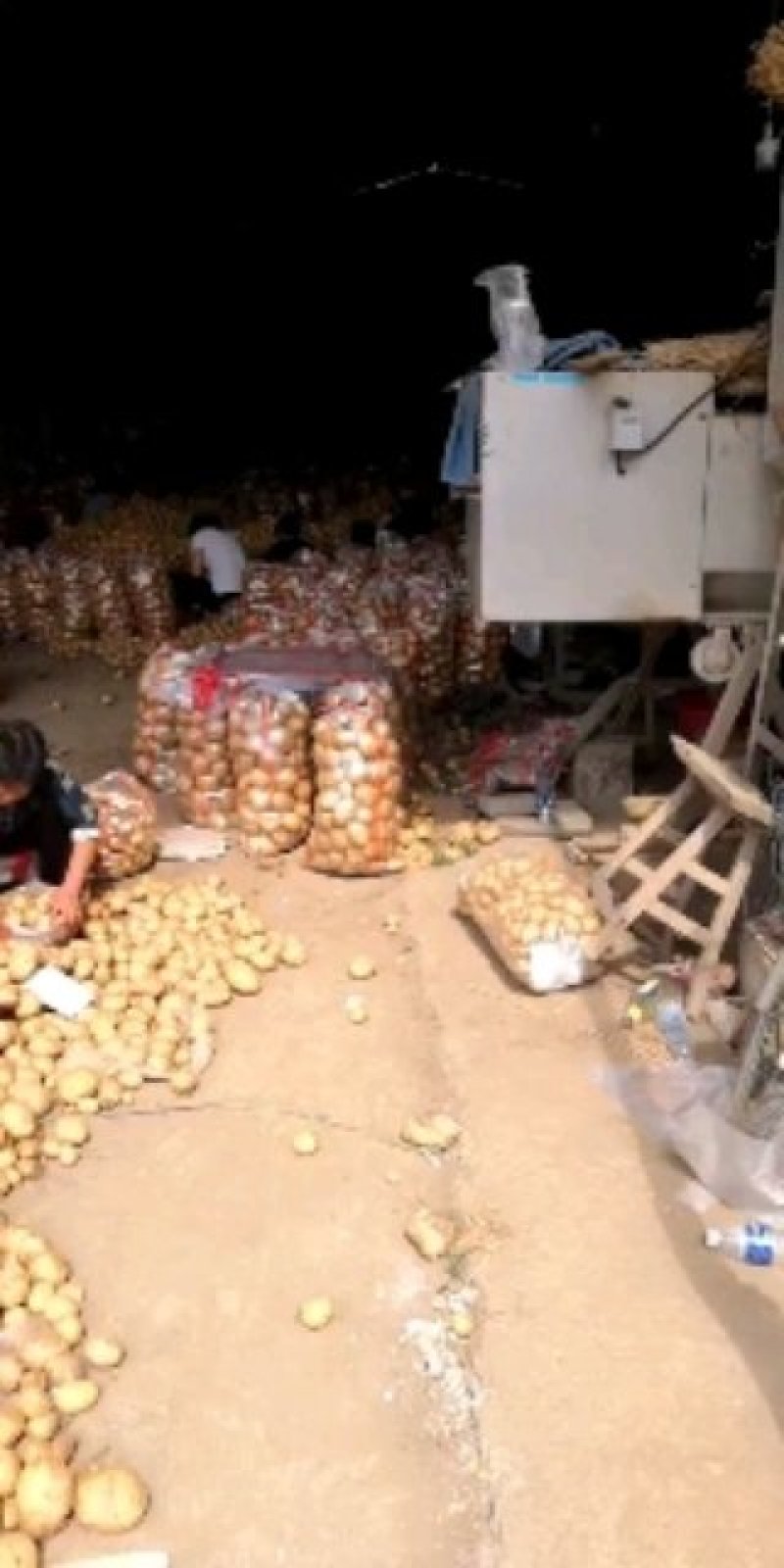 土豆量大，产地直发，希森，中薯，沃土，专业代办代发马铃薯