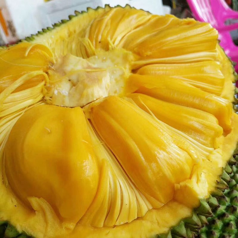 【支持一件代发】海南菠萝蜜一级果，果肉脆甜，老树菠萝蜜