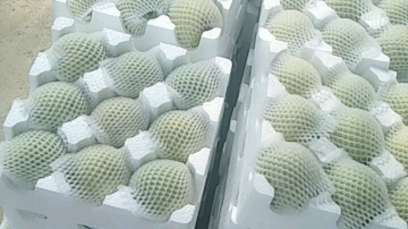 翠玉梨6两起量大货源充足需要的可以联系