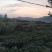 紫阳茶叶富硒茶
