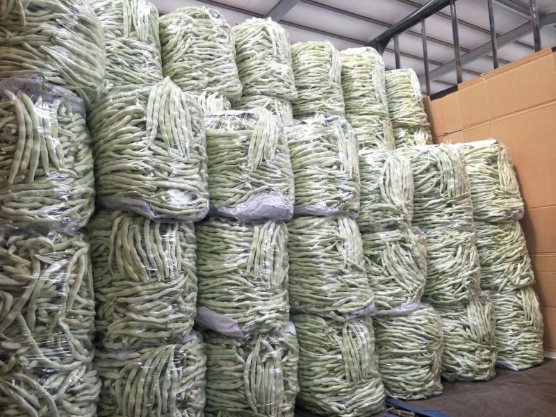 辽宁白豆角.白不老.质量好