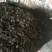 免洗地皮菜干净无杂质，是一种菌类菜经过洗几次蒸包子