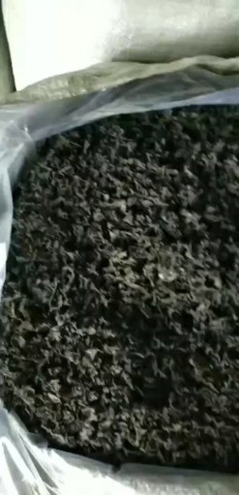 免洗地皮菜干净无杂质，是一种菌类菜经过洗几次蒸包子