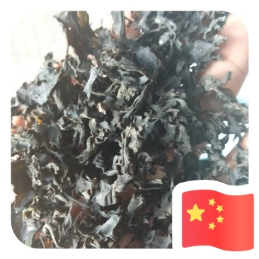 免洗地皮菜干净无杂质，是一种菌类菜经过洗几次蒸包子