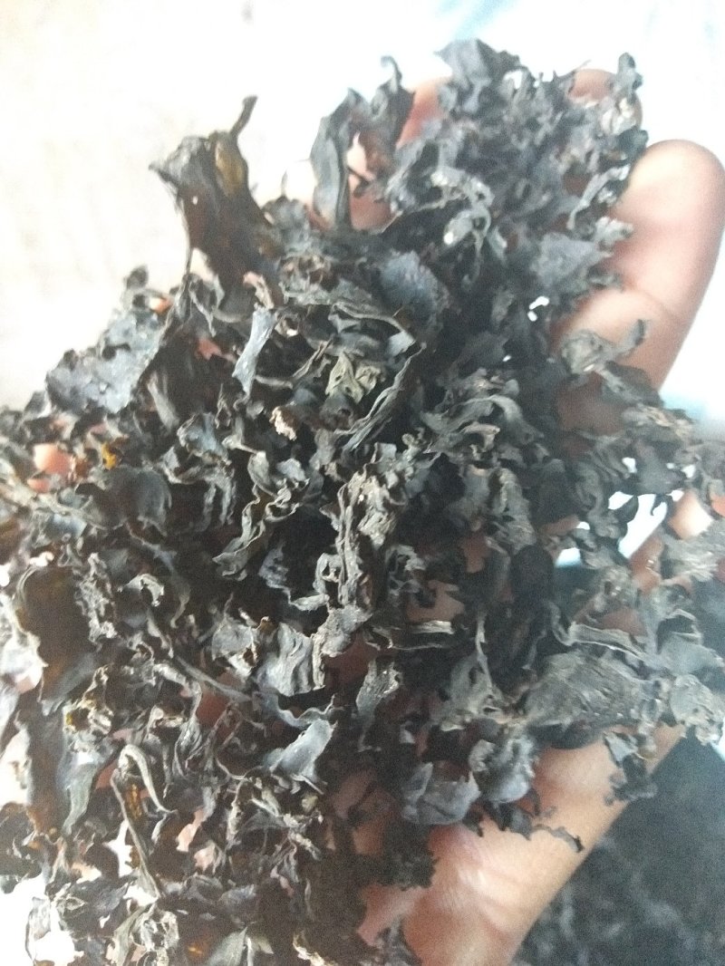 免洗地皮菜干净无杂质，是一种菌类菜经过洗几次蒸包子