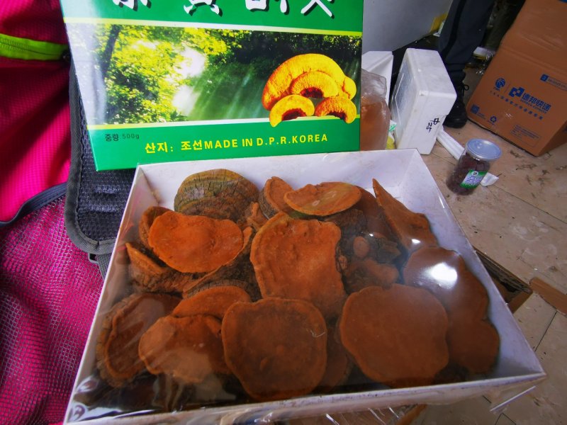 野生桑黄一盒一斤一件代发电商微商供货