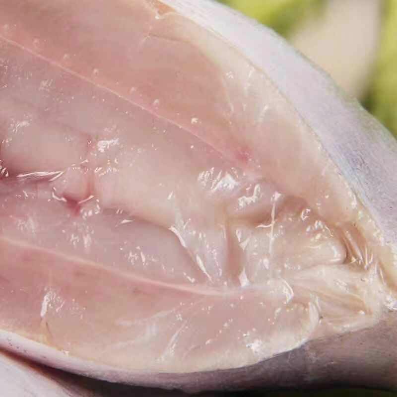 鲳鱼银鲳鱼白鲳鱼平鱼带箱5斤新鲜海鲜水产鲜活冷冻日照