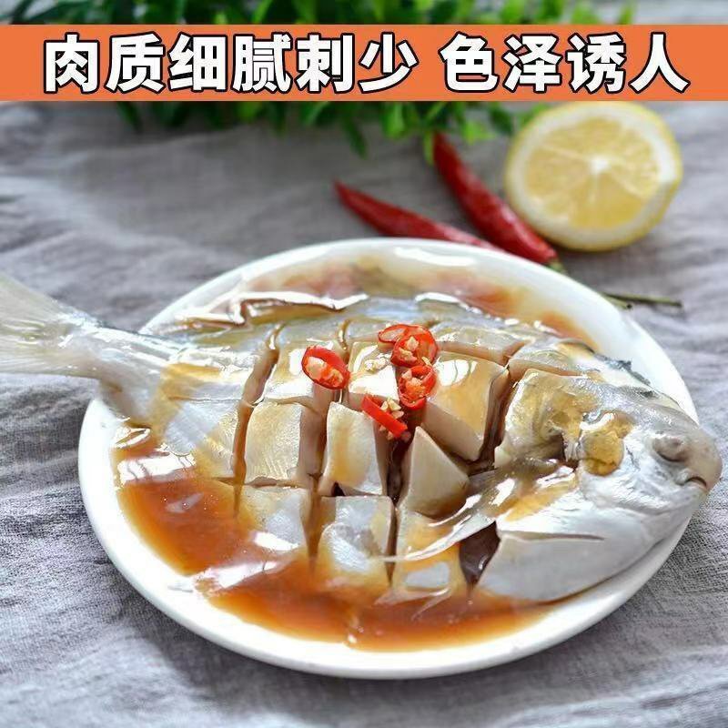 鲳鱼银鲳鱼白鲳鱼平鱼带箱5斤新鲜海鲜水产鲜活冷冻日照