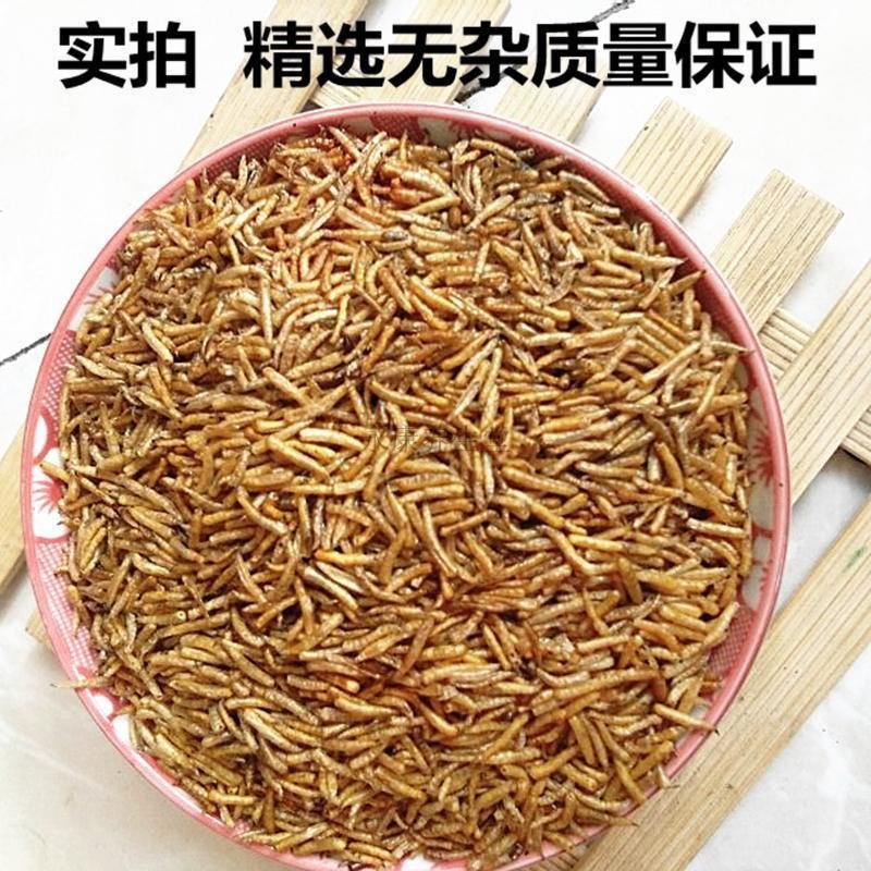 五谷虫肉芽蛆货好量大要多了有优惠