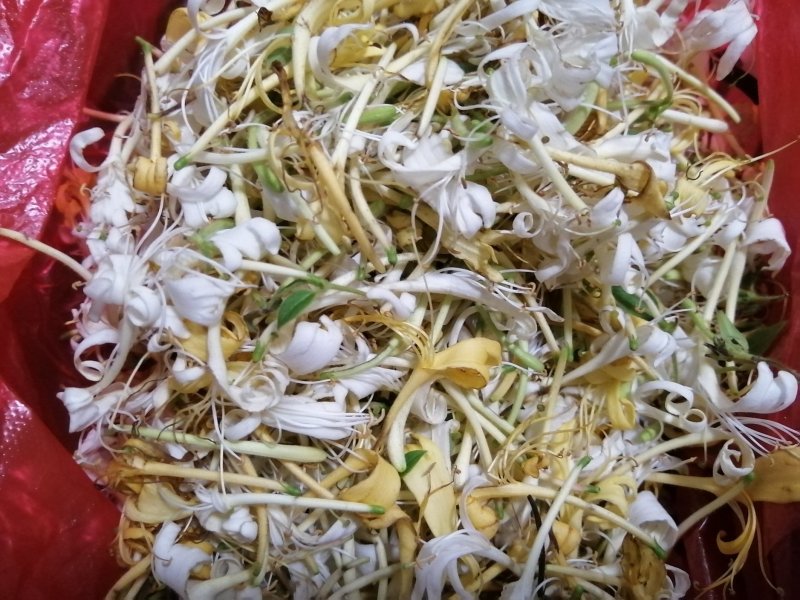【野生晒干】金银花五彩花双色花高山野生金银花0添加无色素