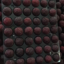 水果