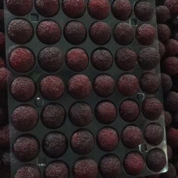 水果