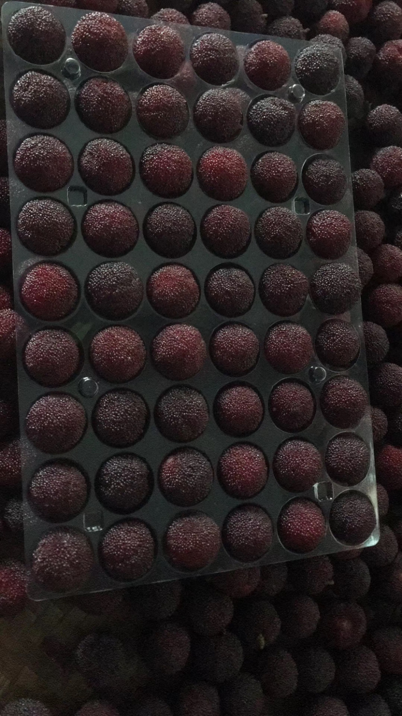水果