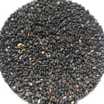 黑芝麻熟黑芝麻黑芝麻糊原料