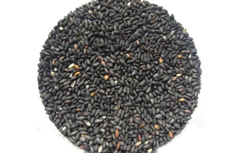黑芝麻熟黑芝麻黑芝麻糊原料