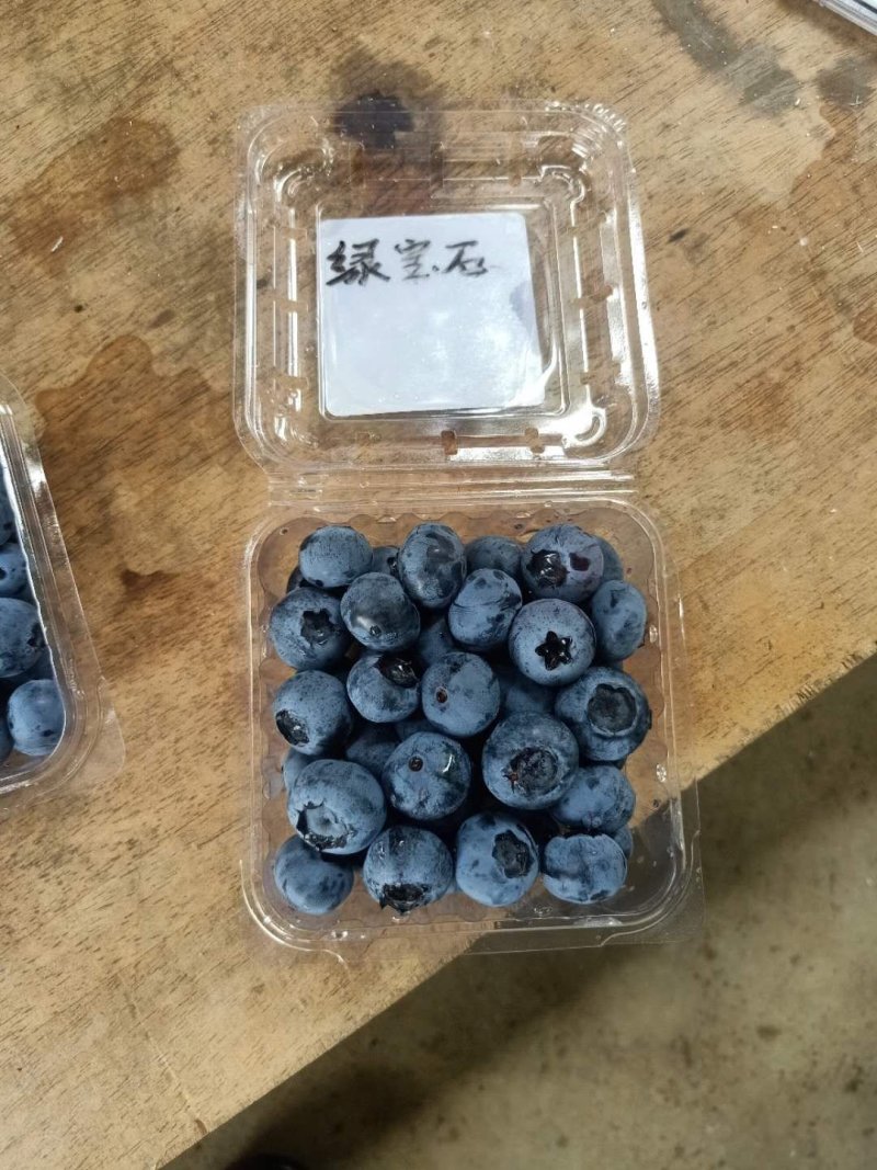 蓝莓1000亩己成熟，你诚意，我有心，便可成交。降降…价
