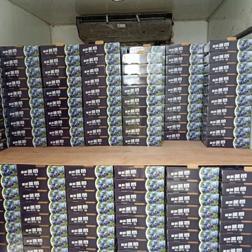 蓝莓1000亩己成熟，你诚意，我有心，便可成交。降降…价