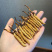 冬虫夏草高原新鲜大草小草特惠低至8.8一条