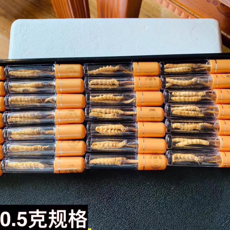 【销量百万】2020年新鲜冬虫夏草礼盒装假一赔万