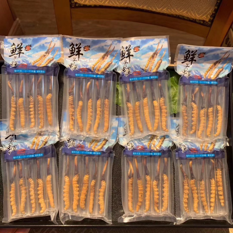 【销量百万】2020年新鲜冬虫夏草礼盒装假一赔万