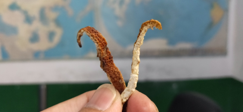 陈皮陈皮丝片型均匀颜色好湖南陈皮