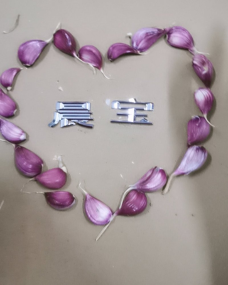 晨宝红根蒜苗种子芽率高抗病，免费技术指导