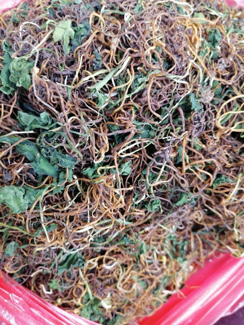 一支箭干货，一手货源，长期供货