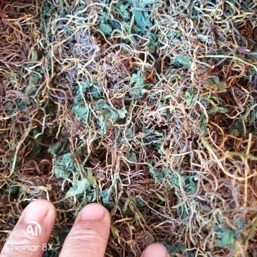 一支箭干货，一手货源，长期供货